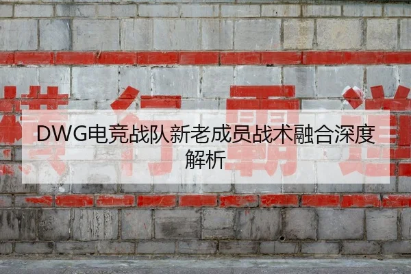 DWG电竞战队新老成员战术融合深度解析